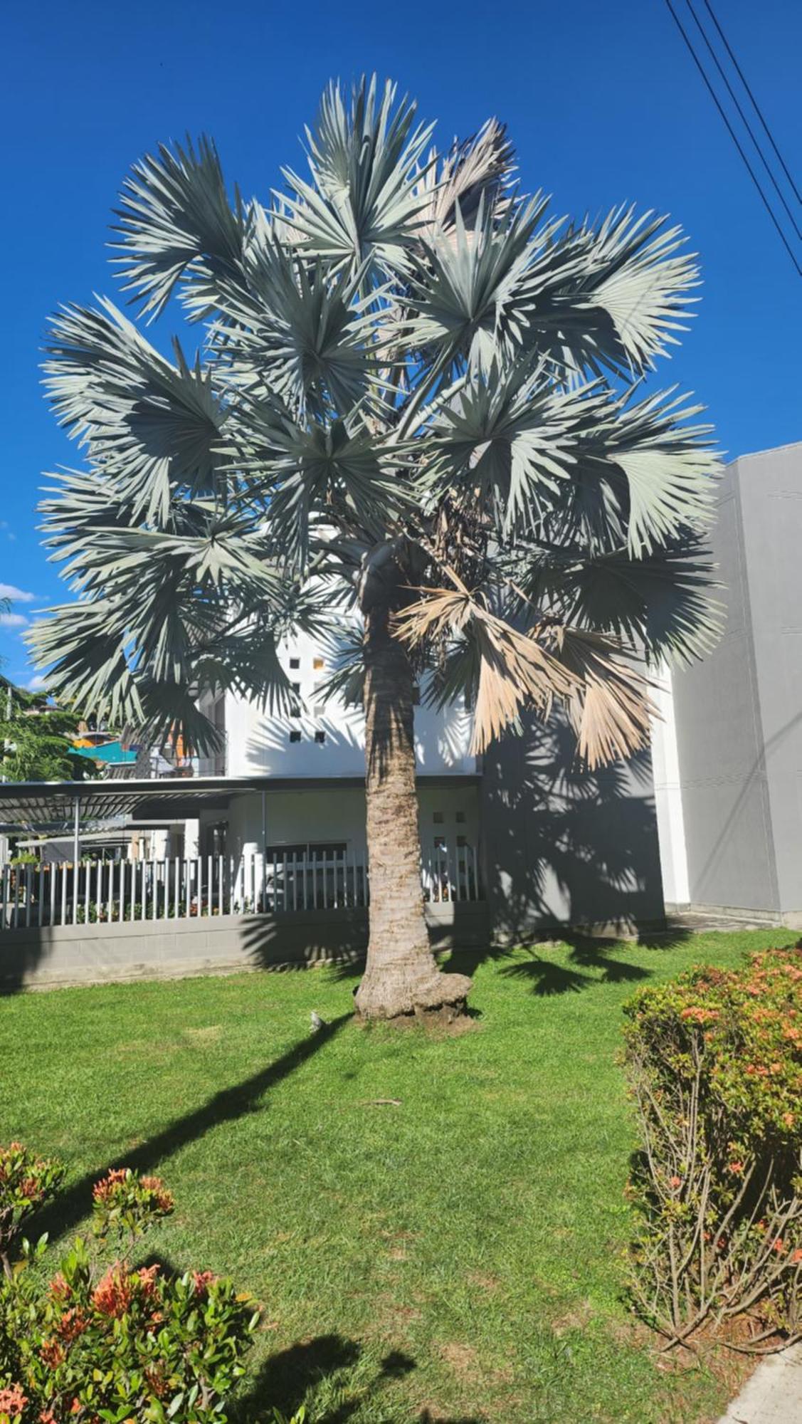 Apartasol Club Ciudadela Santa Fe - 산타페 데 안티오키아 외부 사진